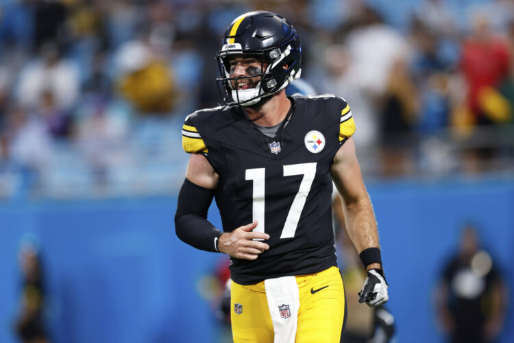 Steelers beat Panthers, 19
